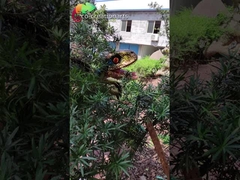 ডাইনো পার্কের জন্য জলরোধী ডাইনোসর খেলার মাঠের সরঞ্জাম অ্যানিমেট্রনিক ডাইনোসর পুতুল