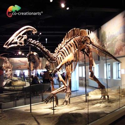ওয়াটারপ্রুফিং জুরাসিক ওয়ার্ল্ড রেপ্লিকা প্যারাসাউরোলোফাস কঙ্কাল 15 মিটার দৈর্ঘ্য
