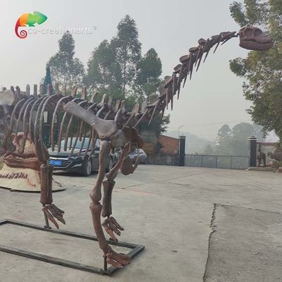 কেনা সিই জুরাসিক পার্ক ডাইনোসর কঙ্কাল প্রতিরূপ শুনোসরাস কঙ্কাল আবহাওয়া প্রতিরোধ online manufacture