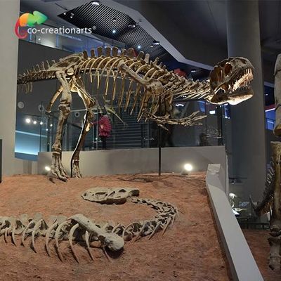 কেনা landscape decoration Outdoor Yangchuanosaurus Skeleton Dinosaur Replica Fossil online manufacture
