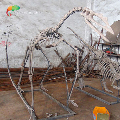 কেনা জাদুঘর প্রদর্শনী রেজিন ডাইনোসর কঙ্কাল Quetzalcoatlus কঙ্কাল কাস্টমাইজযোগ্য online manufacture