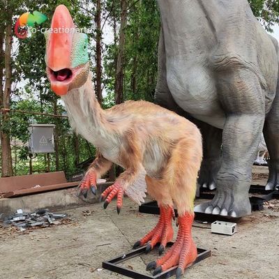 Oviraptor মডেল বাস্তবসম্মত অ্যানিমেট্রনিক ডাইনোসর কৃত্রিম ডাইনোসর সূর্য প্রতিরোধী