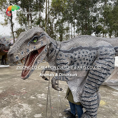 পরিধানযোগ্য ভেলোকিরাপ্টর অ্যানিমেট্রনিক ডাইনোসর পোশাকঃ ইন্টারেক্টিভ প্রদর্শনীর জন্য বাস্তবসম্মত পারফরম্যান্স আকর্ষণ