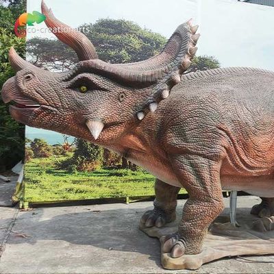 নাম