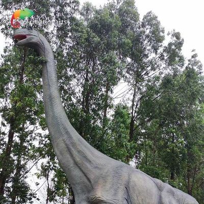 নাম