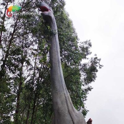 নাম