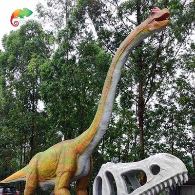 নাম