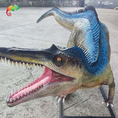 নাম