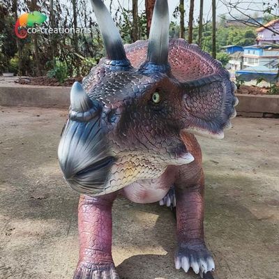 নাম
