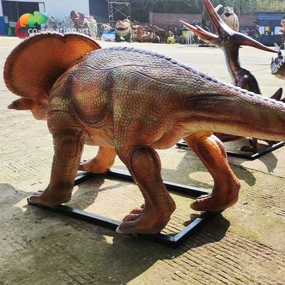 নাম