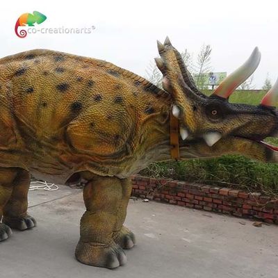 নাম