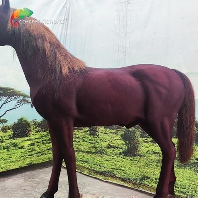 নাম