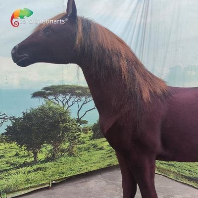 নাম