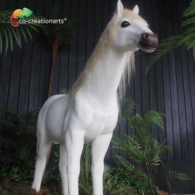 নাম