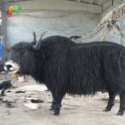 নাম