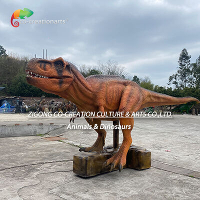নাম